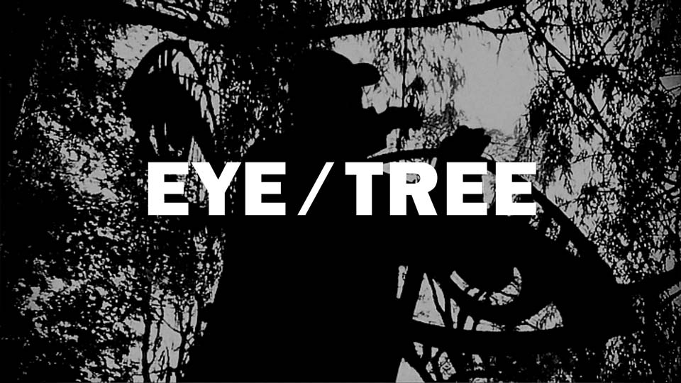 Fixing the Eyetree